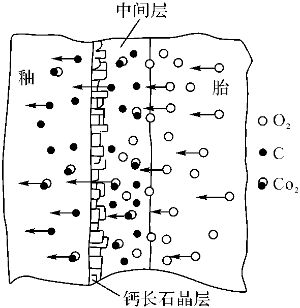 胎、釉中間層